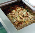 food waste process digesters